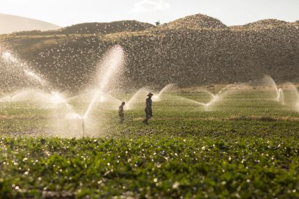 Kilimo helps farmers save water and get paid for it