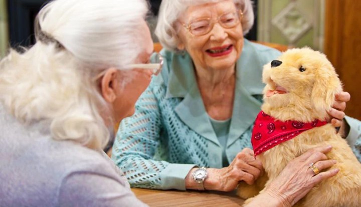 Robot cats, dogs and birds are being deployed amid an ‘epidemic of loneliness’