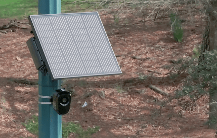 Flock Safety’s solar-powered cameras could make surveillance more widespread